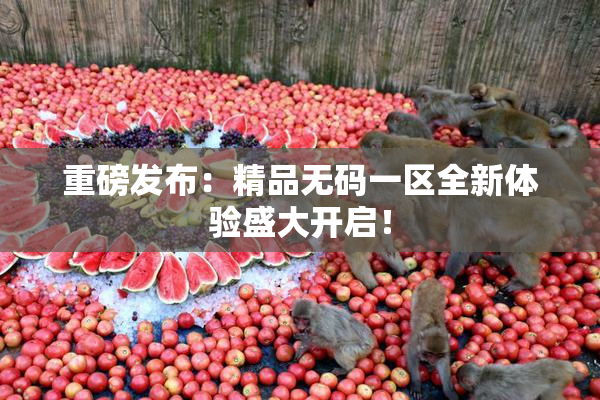 重磅发布：精品无码一区全新体验盛大开启！