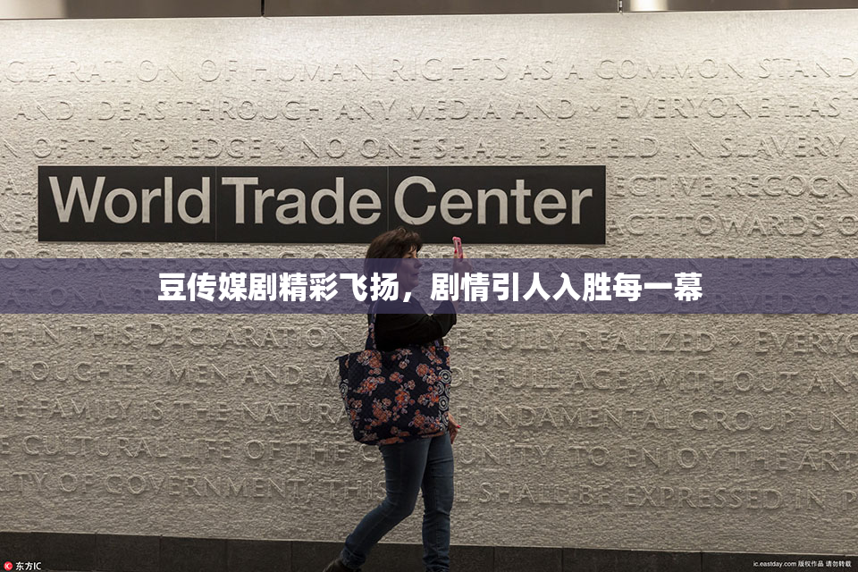 豆传媒剧精彩飞扬，剧情引人入胜每一幕