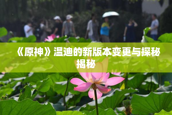 《原神》温迪的新版本变更与探秘揭秘