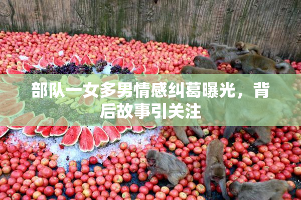 部队一女多男情感纠葛曝光，背后故事引关注