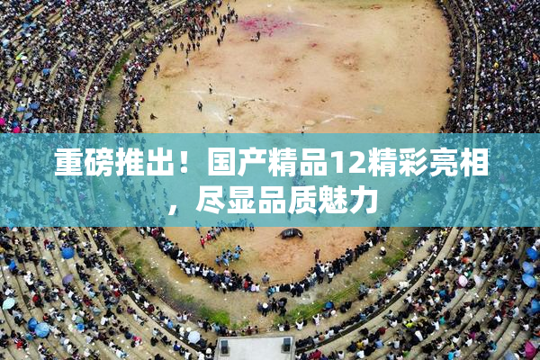 重磅推出！国产精品12精彩亮相，尽显品质魅力
