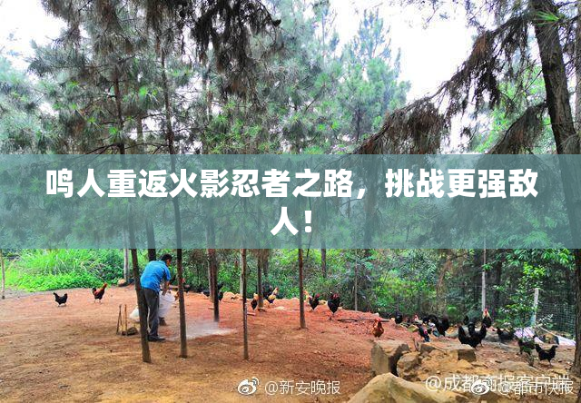 鸣人重返火影忍者之路，挑战更强敌人！