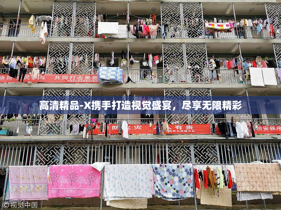 高清精品-X携手打造视觉盛宴，尽享无限精彩