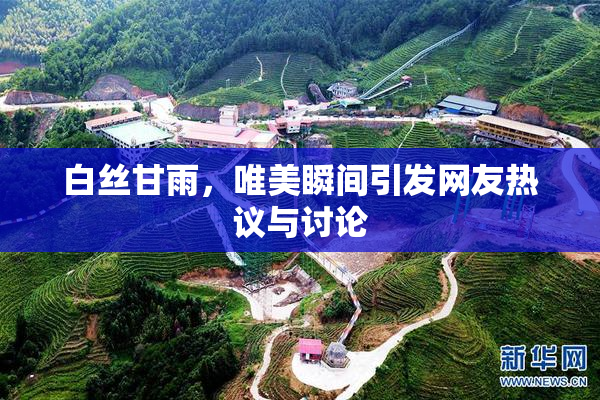 白丝甘雨，唯美瞬间引发网友热议与讨论