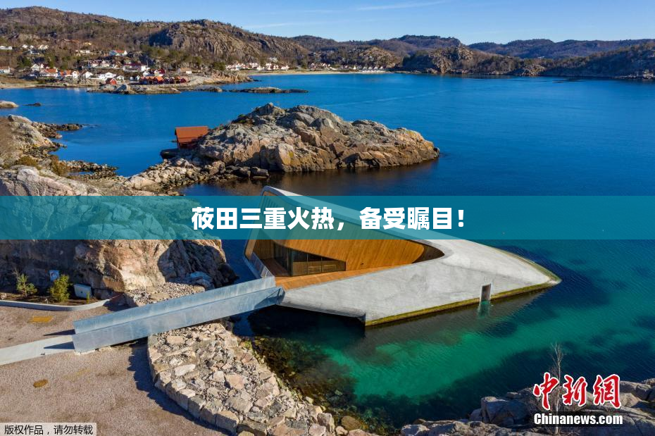 莜田三重火热，备受瞩目！