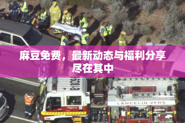 麻豆免费，最新动态与福利分享尽在其中