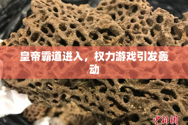 皇帝霸道进入，权力游戏引发轰动
