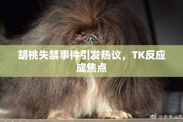 胡桃失禁事件引发热议，TK反应成焦点
