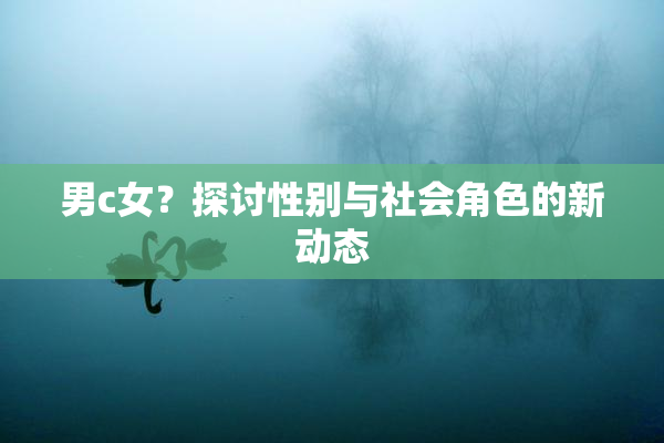 男c女？探讨性别与社会角色的新动态