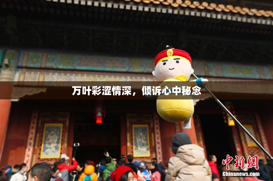 万叶彩涩情深，倾诉心中秘念