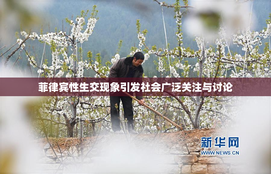菲律宾性生交现象引发社会广泛关注与讨论