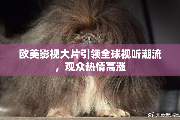欧美影视大片引领全球视听潮流，观众热情高涨