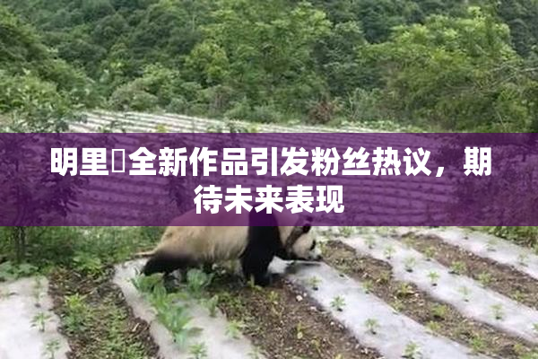 明里紬全新作品引发粉丝热议，期待未来表现