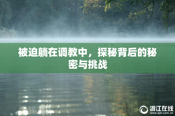 被迫躺在调教中，探秘背后的秘密与挑战