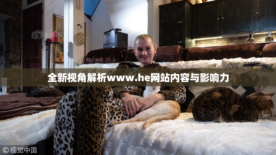 全新视角解析www.he网站内容与影响力