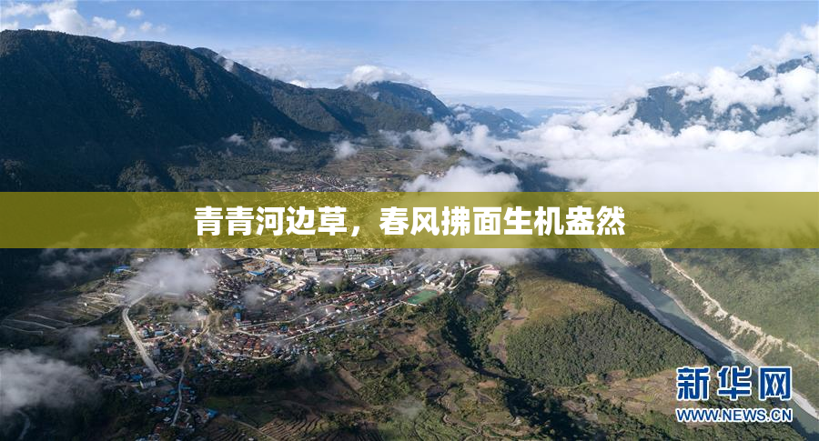 青青河边草，春风拂面生机盎然