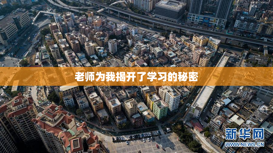 老师为我揭开了学习的秘密