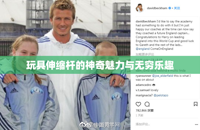 玩具伸缩杆的神奇魅力与无穷乐趣