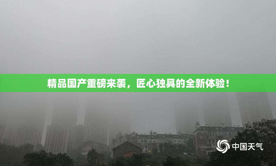 精品国产重磅来袭，匠心独具的全新体验！