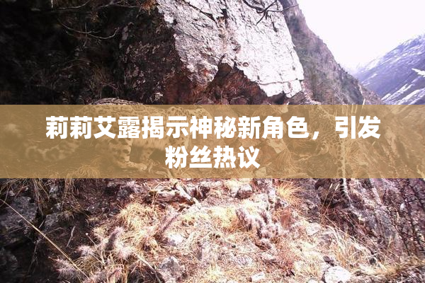 莉莉艾露揭示神秘新角色，引发粉丝热议