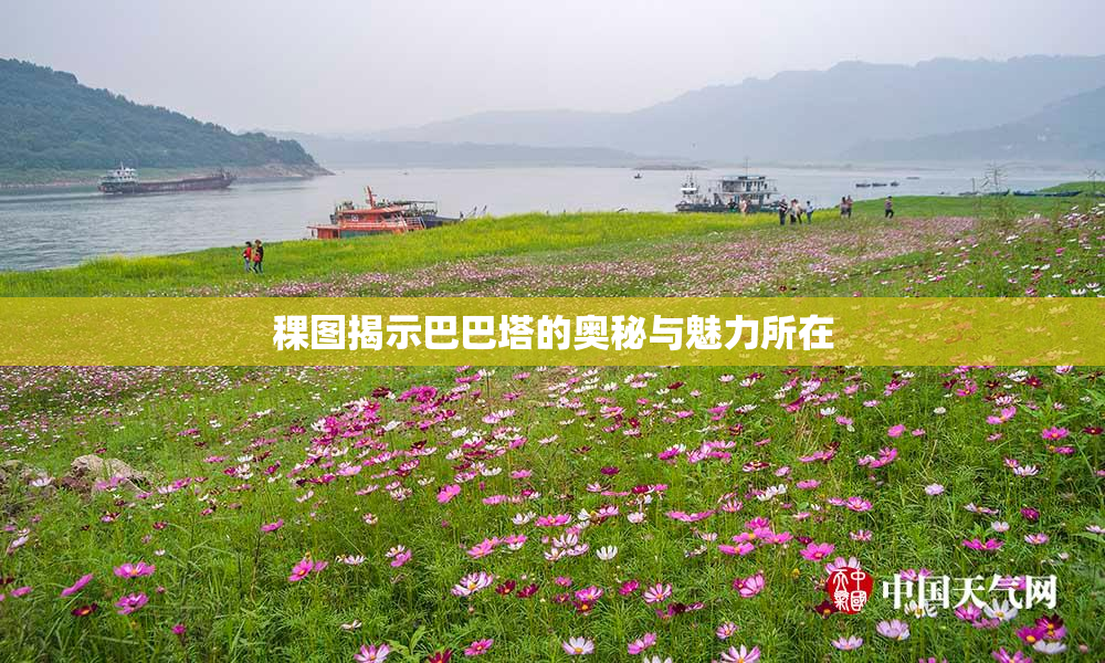稞图揭示巴巴塔的奥秘与魅力所在
