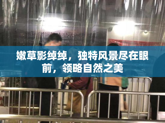 嫩草影绰绰，独特风景尽在眼前，领略自然之美