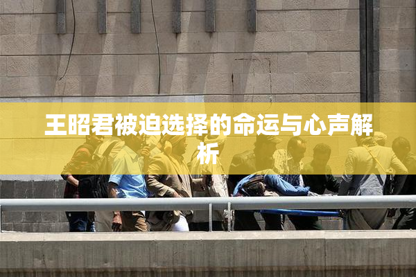 王昭君被迫选择的命运与心声解析