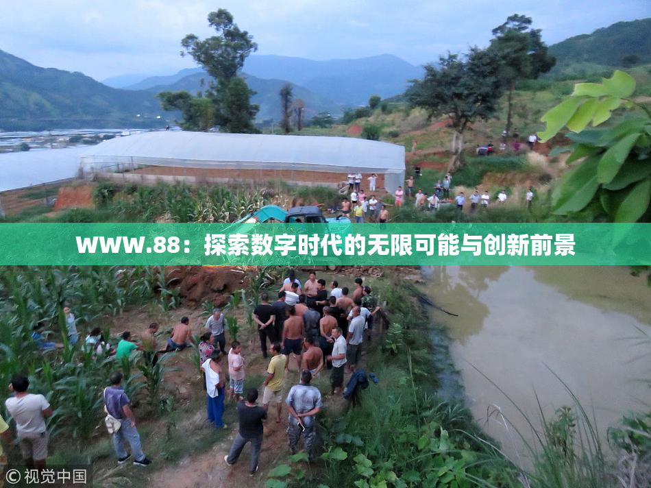 WWW.88：探索数字时代的无限可能与创新前景