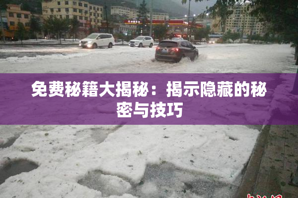 免费秘籍大揭秘：揭示隐藏的秘密与技巧