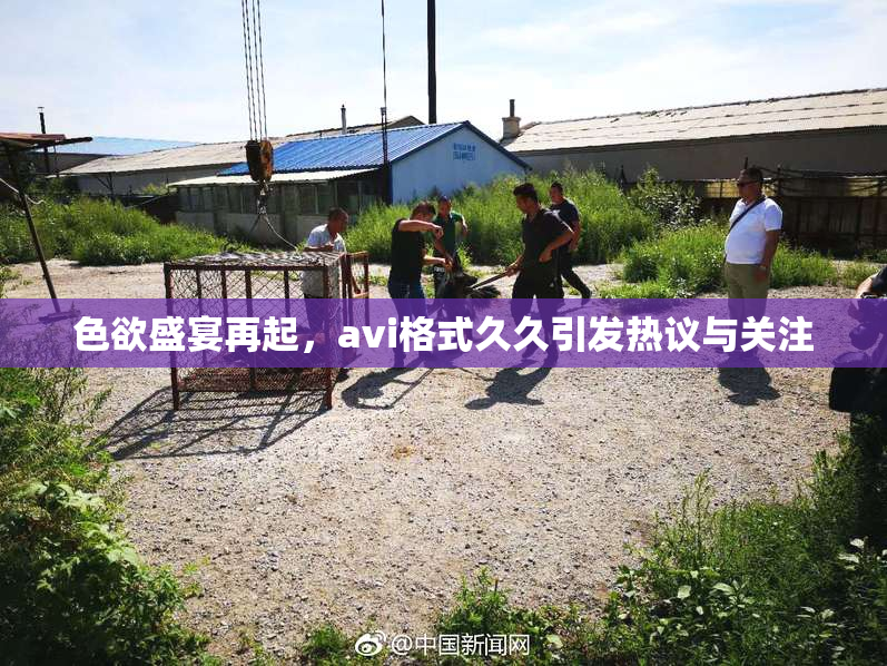色欲盛宴再起，avi格式久久引发热议与关注