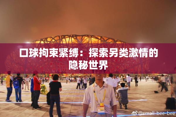 口球拘束紧缚：探索另类激情的隐秘世界