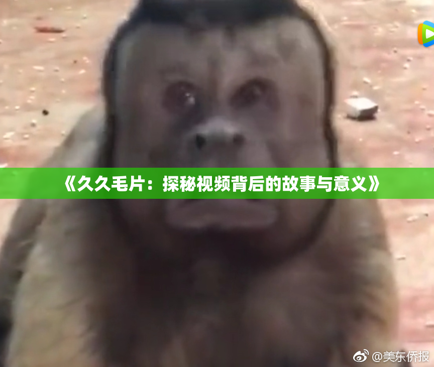 《久久毛片：探秘视频背后的故事与意义》