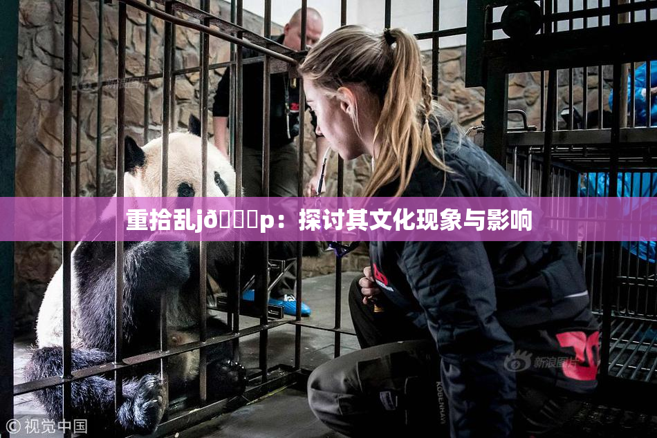 重拾乱j🈚p：探讨其文化现象与影响