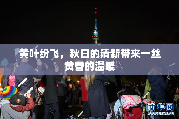 黄叶纷飞，秋日的清新带来一丝黄昏的温暖