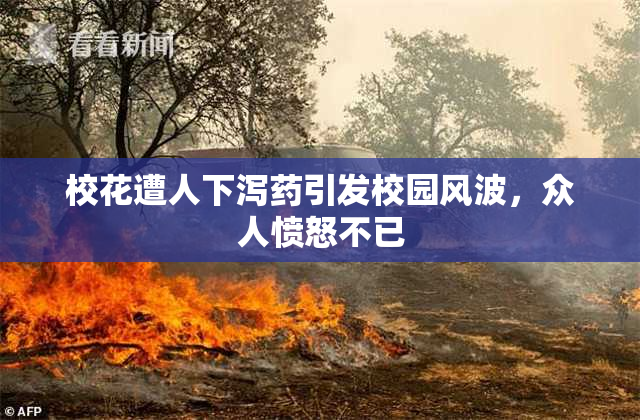 校花遭人下泻药引发校园风波，众人愤怒不已