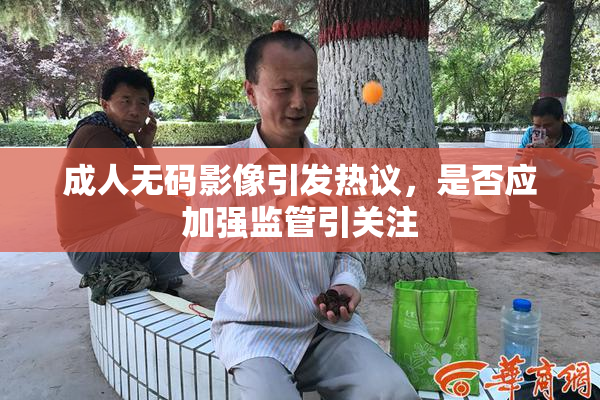 成人无码影像引发热议，是否应加强监管引关注