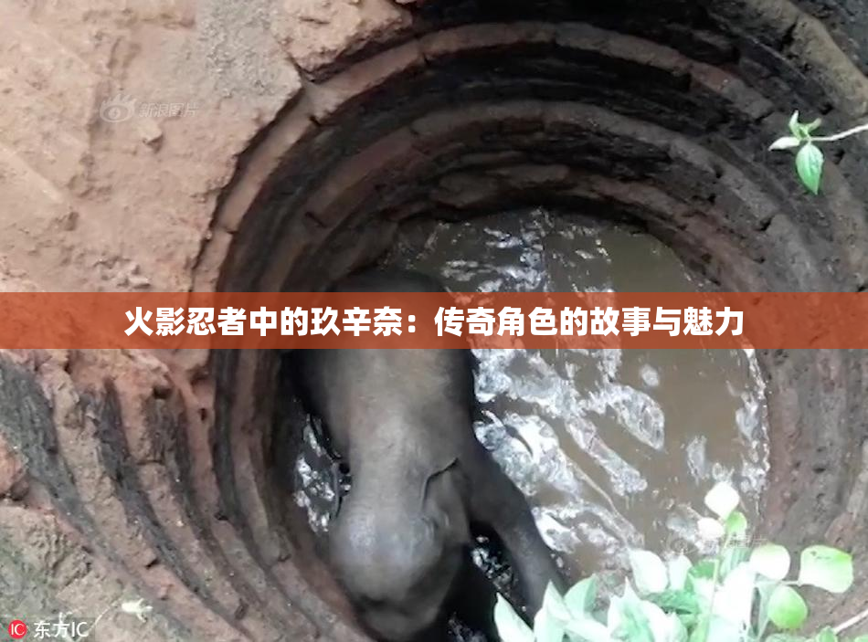 火影忍者中的玖辛奈：传奇角色的故事与魅力