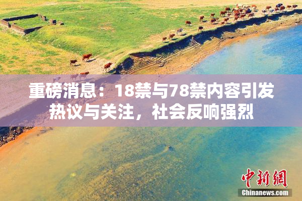 重磅消息：18禁与78禁内容引发热议与关注，社会反响强烈