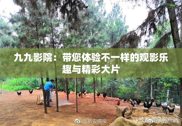 九九影院：带您体验不一样的观影乐趣与精彩大片
