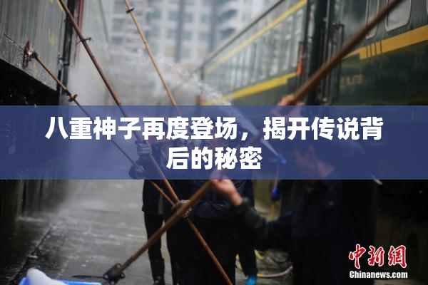 八重神子再度登场，揭开传说背后的秘密