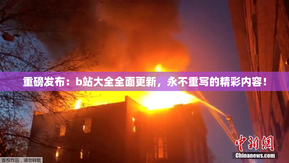 重磅发布：b站大全全面更新，永不重写的精彩内容！