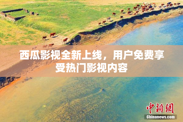 西瓜影视全新上线，用户免费享受热门影视内容