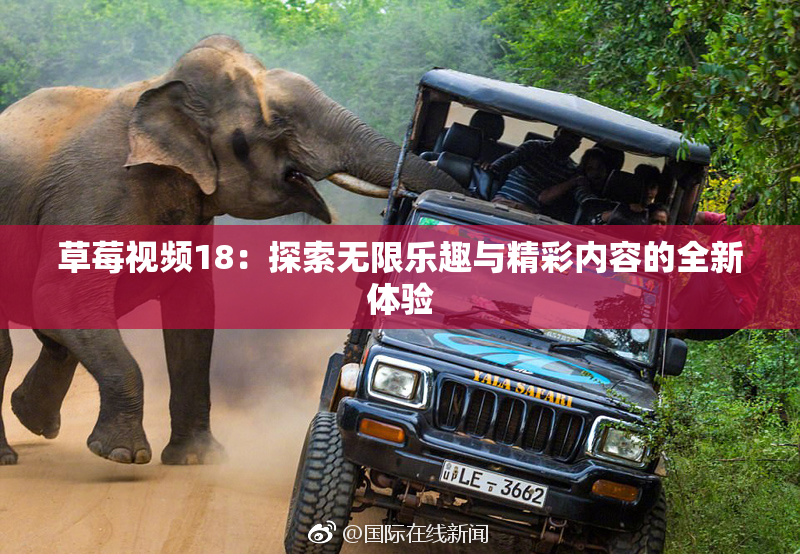 草莓视频18：探索无限乐趣与精彩内容的全新体验