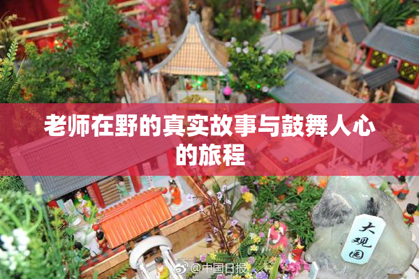 老师在野的真实故事与鼓舞人心的旅程