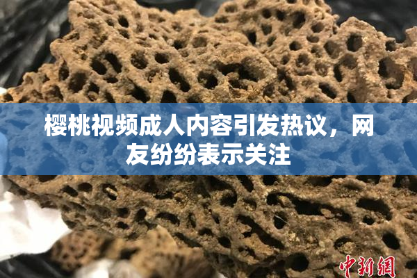 樱桃视频成人内容引发热议，网友纷纷表示关注
