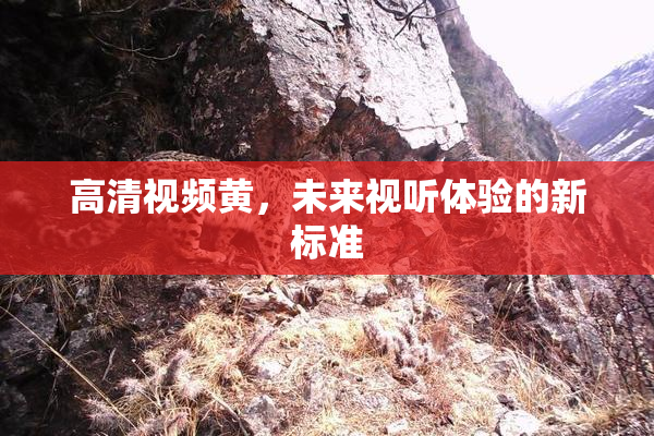 高清视频黄，未来视听体验的新标准