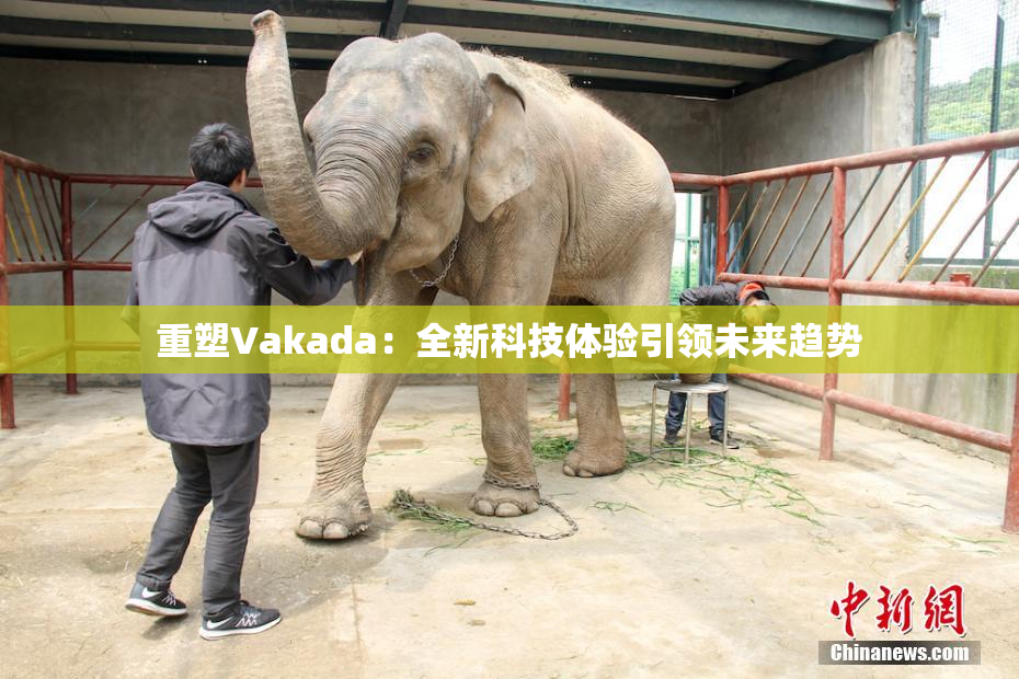 重塑Vakada：全新科技体验引领未来趋势