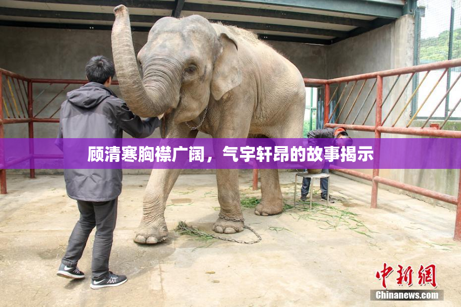 顾清寒胸襟广阔，气宇轩昂的故事揭示