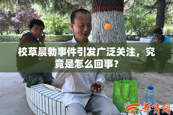 校草晨勃事件引发广泛关注，究竟是怎么回事？