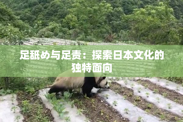 足舐め与足责：探索日本文化的独特面向